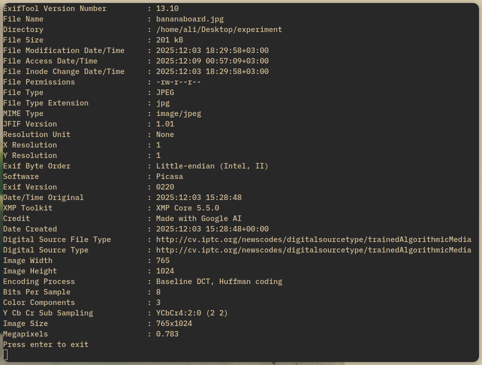 EXIF data of generated image